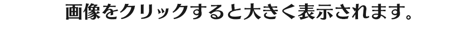 画像をクリックすると大きく表示されます。