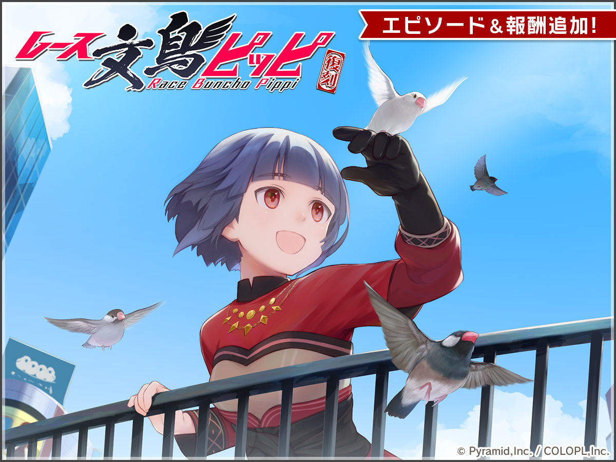 復刻イベント『レース文鳥ピッピ』開催中！