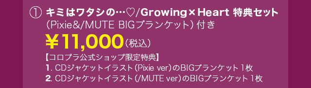 キャラクターボーカルシリーズ02 キミはワタシの…♡/Growing×Heart