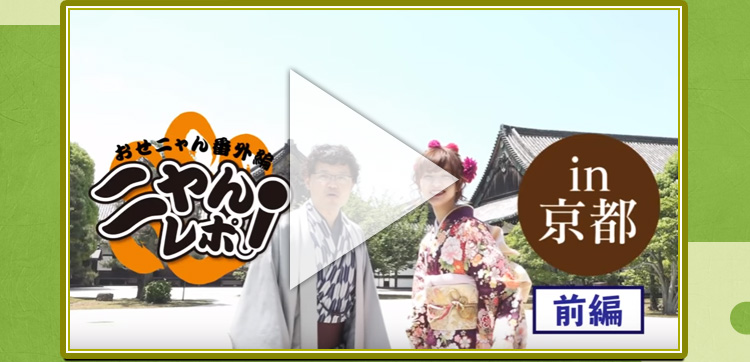 私立茶熊学園16 おいでやす 京都 白猫の旅