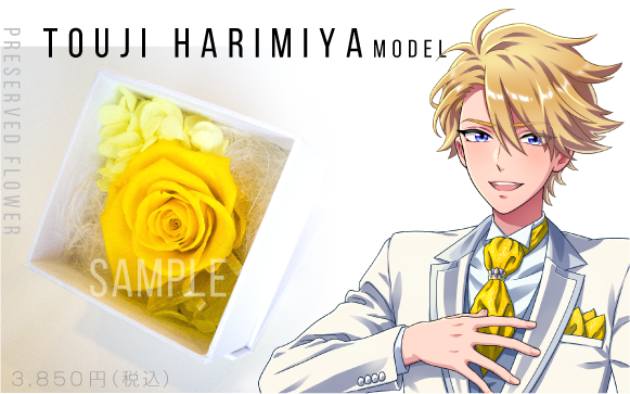Dream Ing プリザーブドフラワー Dream Ing ドリーミング 公式サイト