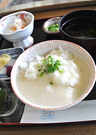 静岡・奥山高原の自然薯