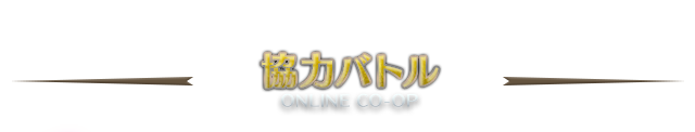 協力バトル